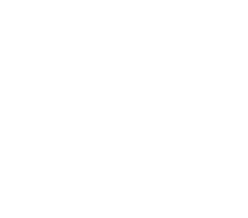 casquetes-bielas